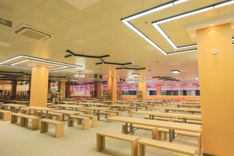 河南世紀教育科技集團 專業信息咨詢，賦能教育未來